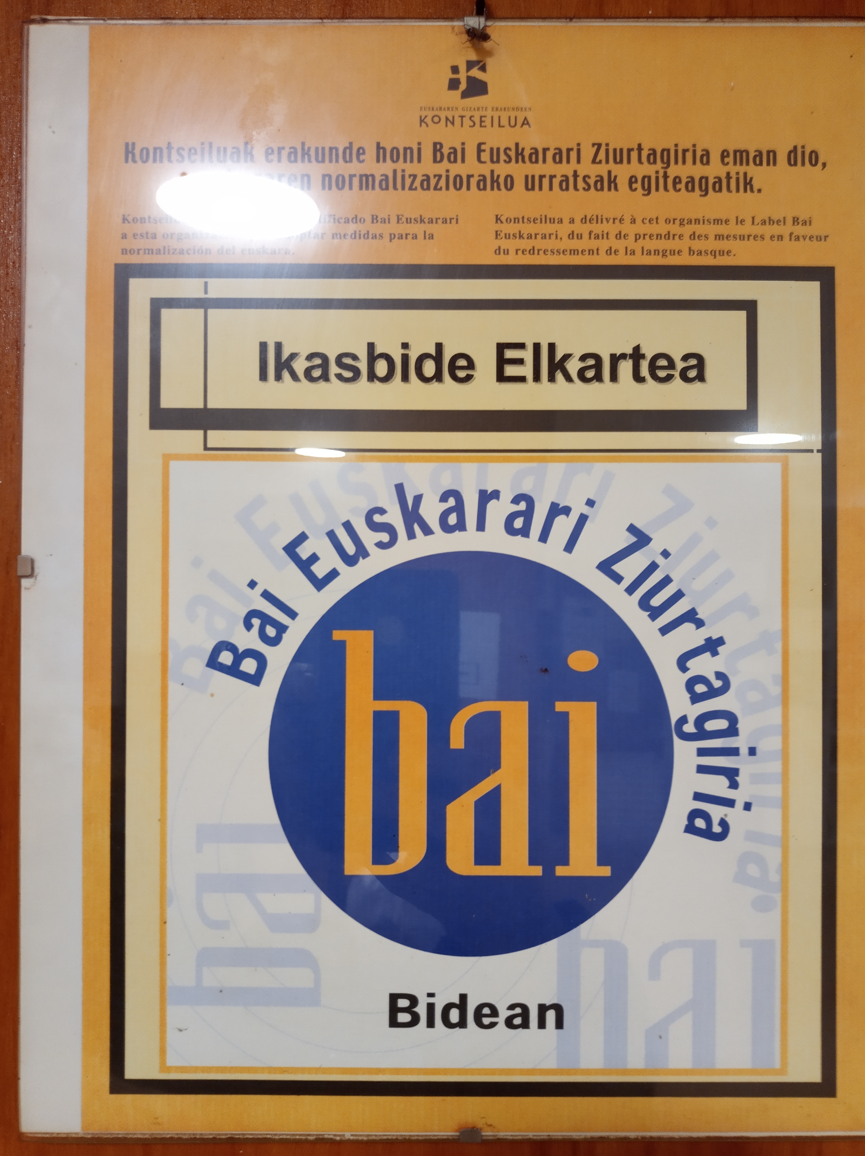 Bai Euskarari Diploma